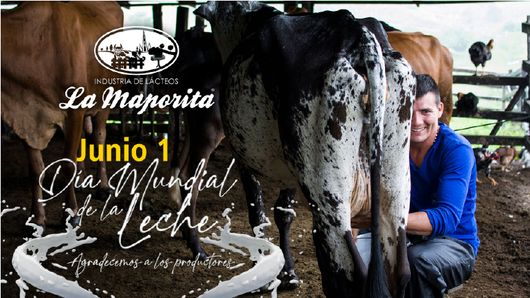 Novedades - La Maporita