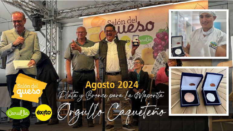 Novedades - La Maporita