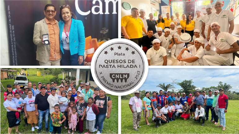 Novedades - La Maporita