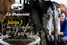 Novedades - La Maporita